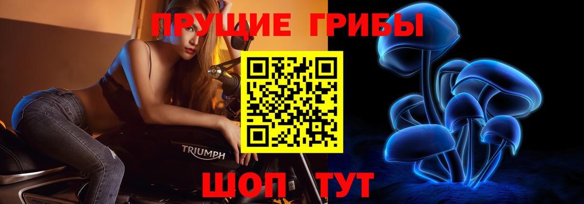 Иркутск  Галлюциногенные грибы Psilocybe  Вход с VPN 